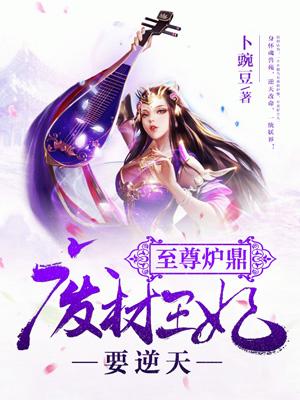 至尊炉鼎：废材王妃要逆天