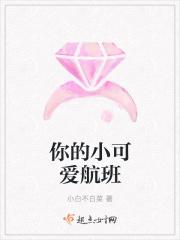 你的小可爱航班