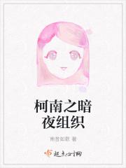 柯南之暗夜组织