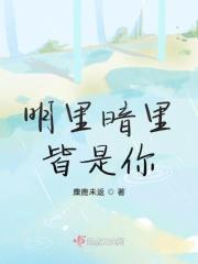 明里暗里皆是你