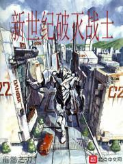 新世纪破灭战士