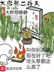 大唐第二莽夫