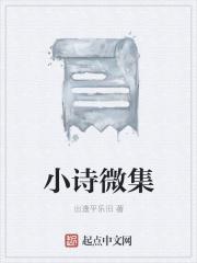 小诗微集