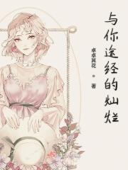 与你途经的灿烂