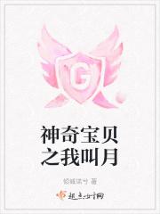 神奇宝贝之我叫月
