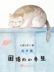 关于我困倦的小半生