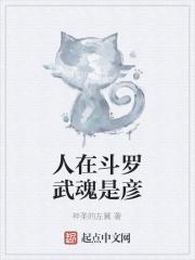 人在斗罗武魂是彦