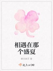 相遇在那个盛夏