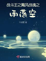 战斗王之飓风战魂之雨落空