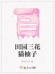 田园三花猫柚子