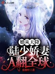 婚从天降,陆少娇妻A翻全球