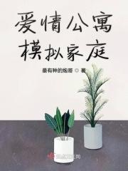 爱情公寓模拟家庭