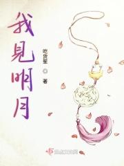 我见明月