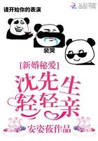 新婚秘爱:沈先生轻轻亲