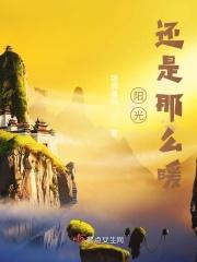 阳光还是那么暖