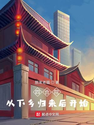 四合院:从下乡归来后开始
