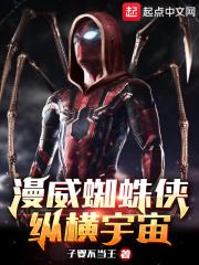 漫威蜘蛛侠:纵横宇宙