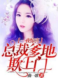 一夜惊喜:总裁爹地欺上门